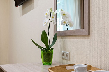 1st Arbat Hotel - ������ ���� 1