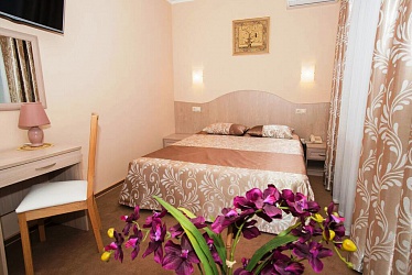 �����-������������6