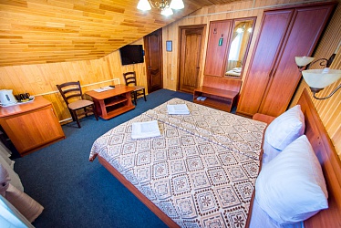 ����� ������� ����